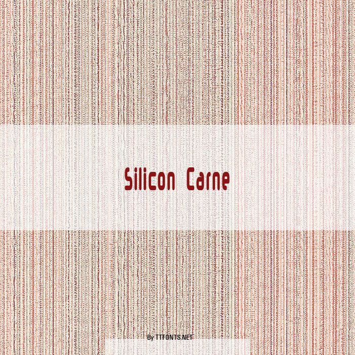Silicon Carne example